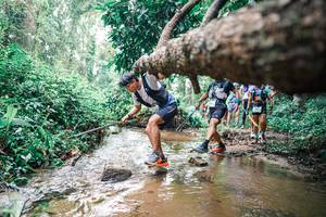 BIB: 
                            <button type="button" onclick="openModal(25374977)" class="btn btn-primary btn-sm float-right btn-popup" data-toggle="modal" data-target=".modal-high-quality">
                        <i class="fas fa-shopping-cart"></i> Add to Cart
                    </button>
                                            <button type="button" onclick="isThisMe(25374977, true)" class="btn btn-success btn-sm float-right btn-popup btn-isme hidden" data-toggle="tooltip" data-placement="bottom" title="นี่คือรูปของคุณใช่ไหม คลิกที่นี่เพื่อเอาเข้าอัลบั้ม">
                        <i class="fas fa-plus"></i> Add to album
                    </button>
                    <button type="button" onclick="isThisMe(25374977, false)" class="btn btn-warning btn-sm float-right btn-popup btn-isnotme hidden">
                        <i class="fas fa-ban"></i> Remove from album
                    </button>